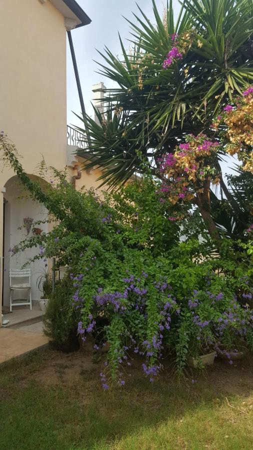 B&B Villa Orchidea Olbia Exterior photo